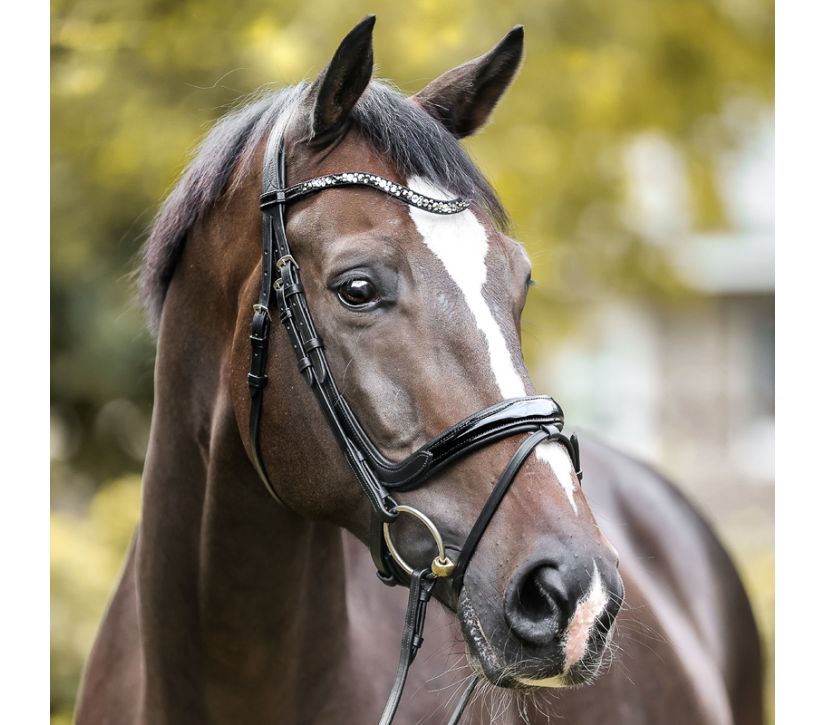 Ogłowie skórzane nachrapnik angielski lakierowane Kavalkade Ivana KavalSH4 - Cavalo